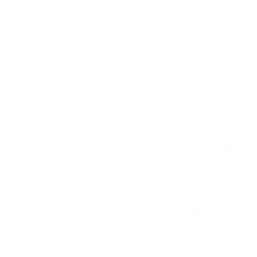 Pestora